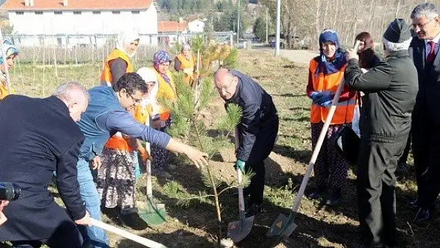 Kastamonu 11 Kasım'daki ağaçlandırma seferberliğine hazır