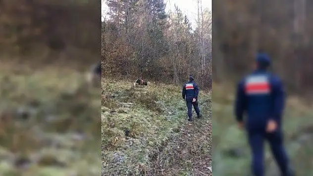 Kayıp kadına ait olduğu düşünülen kemik parçaları bulundu