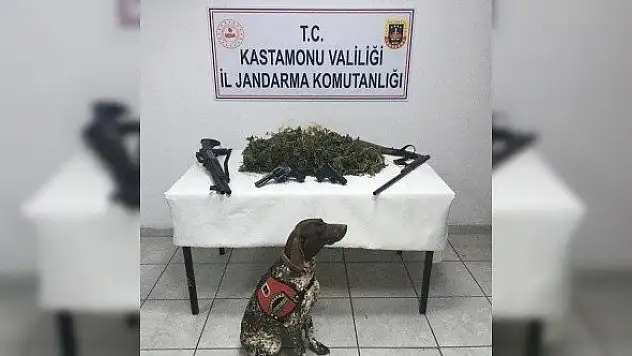 Kenevir eken şahıslara suçüstü: 3 gözaltı