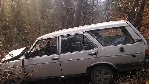 Yoldan çıkan otomobil ağaçlık alana uçtu: 1 yaralı