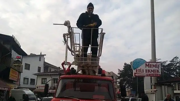 Daday İtfaiyesinden kedi mesaisi