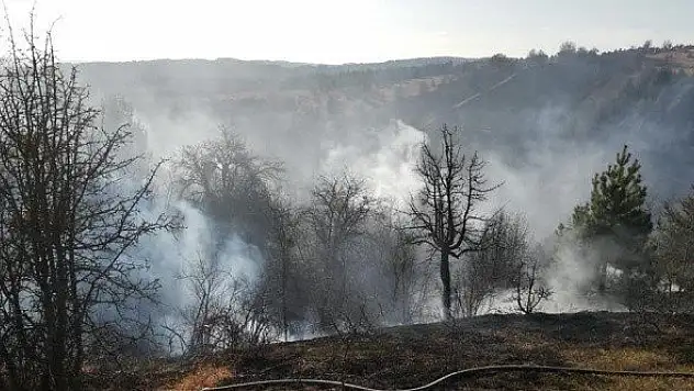 Devrekani'de yangında 80 dekarlık alan zarar gördü