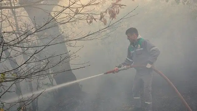 İnebolu'da orman yangını