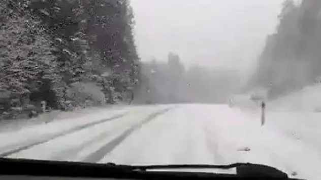 Kastamonu'da kar yağışı etkili oluyor
