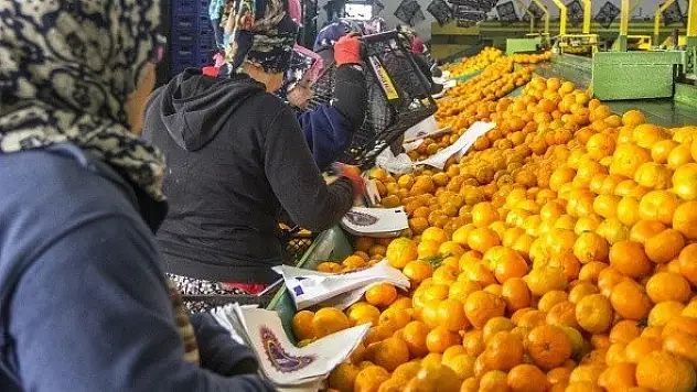 2019'da gıda ve tarımda öne çıkanlar