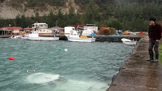 Kastamonu'da fırtına balıkçı barınağındaki tekneyi batırdı