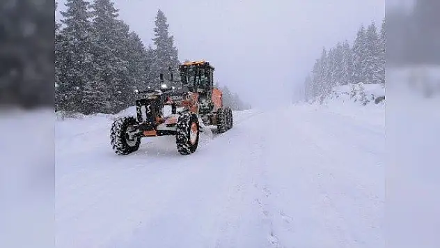 Kastamonu'da kar yağışı etkili oluyor