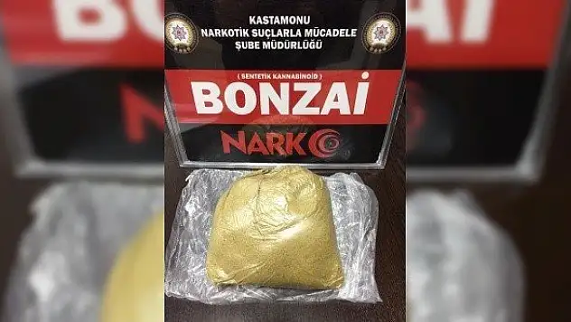 Kastamonu'daki uyuşturucu operasyonunda bonzai ele geçirildi