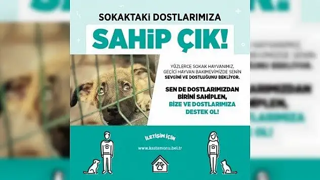 Sokaktaki dostlarımıza sahip çık!