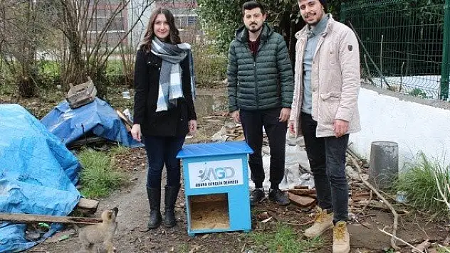 Gençlerden sokak hayvanlarını ısıtan proje