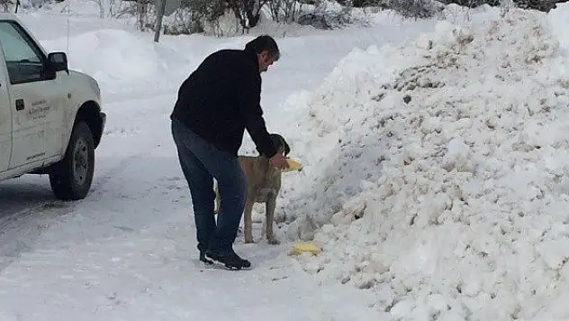 Köylüler kadar sokak hayvanları da bekliyor