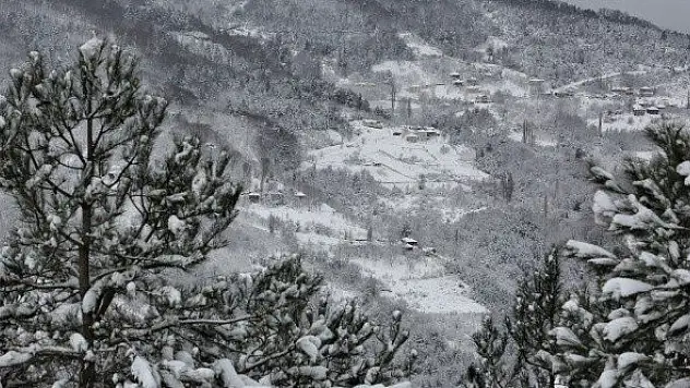 Kastamonu'da kar yağışı ve sis etkili oluyor