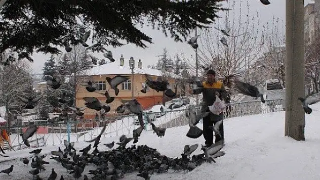 Tosyalı esnaflar kuşlara yem bıraktı