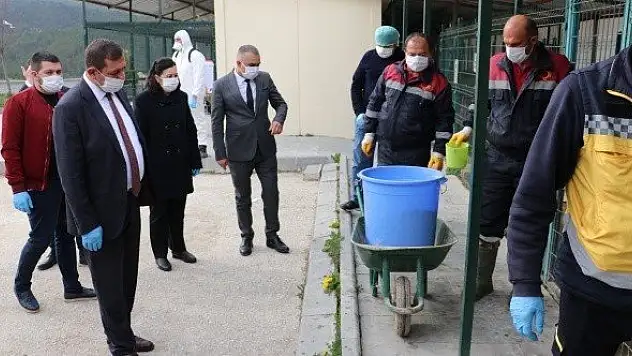 Kastamonu Belediyesi sokak hayvanlarını unutmadı