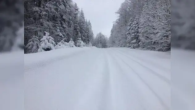 Kastamonu'da kar yağışı etkisini sürdürüyor