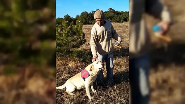 Kastamonu'da kaybolan kişiyi jandarmanın iz takip köpeği buldu