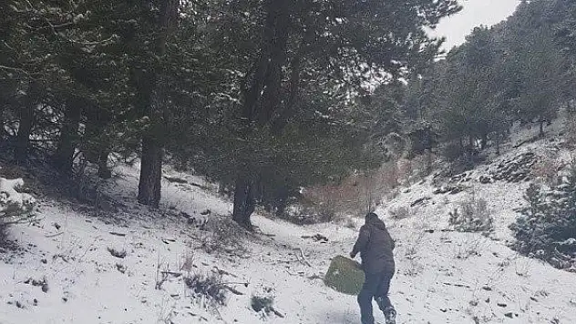 Kastamonu'da yaban hayvanları için doğaya yem bırakıldı