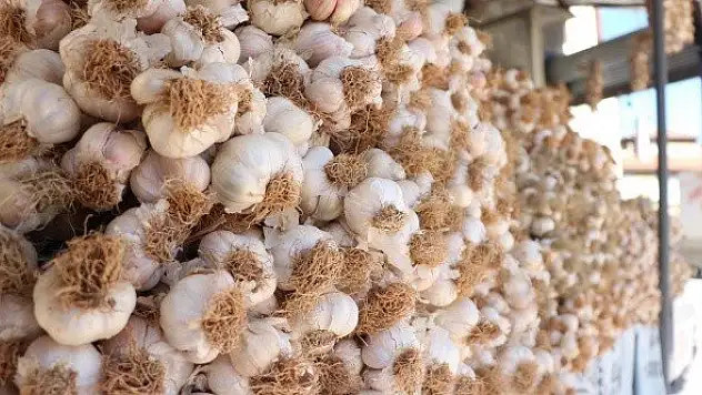 Taşköprü sarımsağında kilogram fiyatı 5 lira arttı