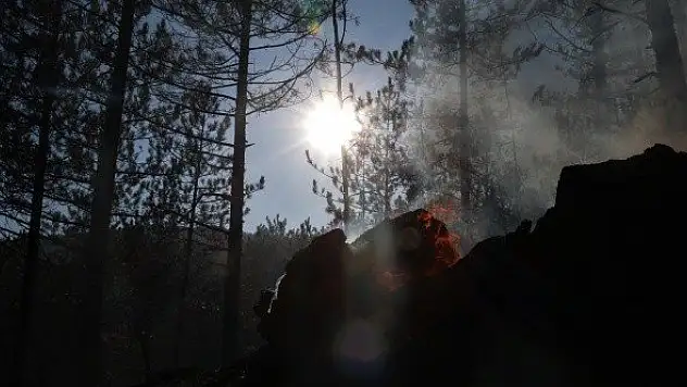 Kastamonu'daki örtü yangını söndürüldü