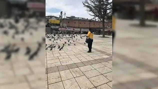Meydanlar boş kalınca güvercinleri belediye ekipleri besledi