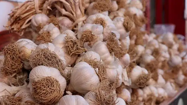 Taşköprü sarımsağının fiyatı 55 liraya ulaştı