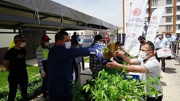 Kastamonu'da &quotata tohumları&quotndan yetiştirilen 45 bin fide dağıtıldı
