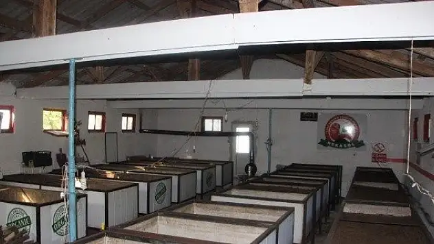 Solucan gübresi üreterek kanser vakalarının önüne geçmeyi hedefliyor