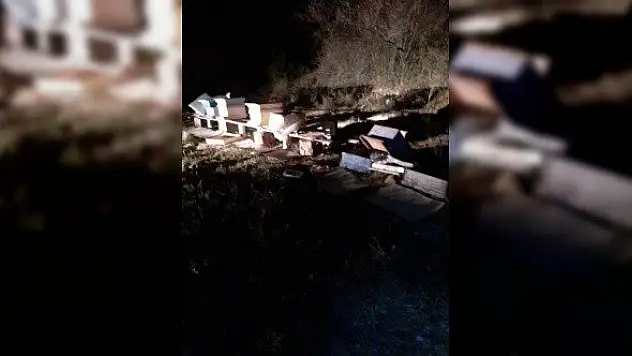 Arı kovanlarına ayı saldırdı