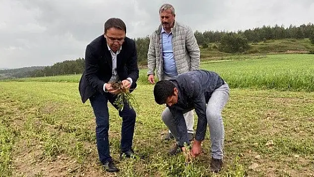 &quotDevrekani, afet bölgesi ilan edilmeli&quot