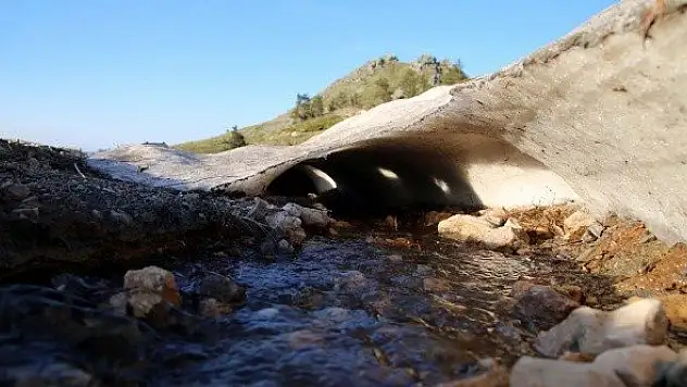 Ilgaz Dağı'nın zirvesinde çiçekler yeni açıyor