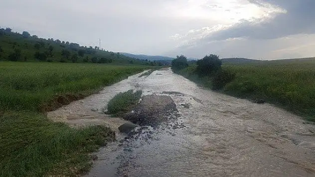 15 gündür yağan dolu ve yağmur, tarım arazilerini vurdu