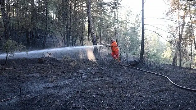 Kastamonu'da çıkan örtü yangını söndürüldü