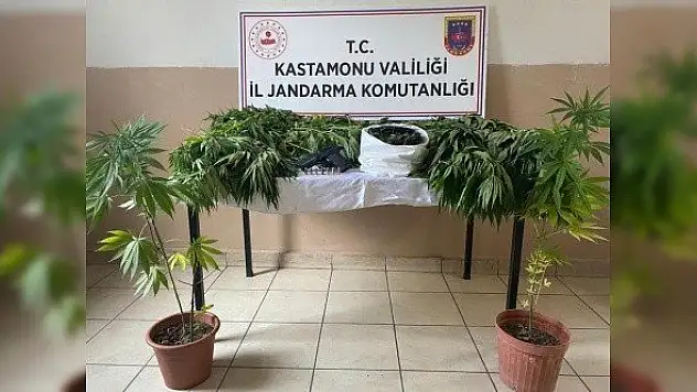 Kastamonu'daki uyuşturucu operasyonlarında 3 kişi yakalandı