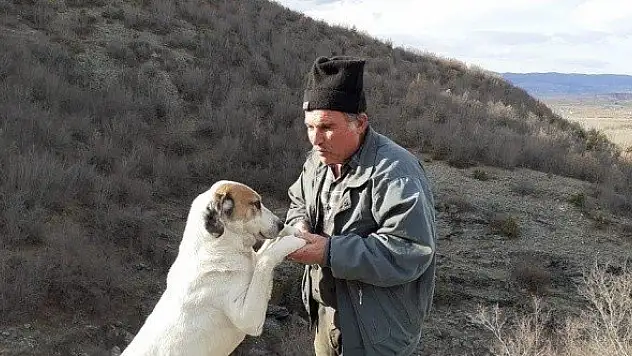 Vücuduna mermi isabet eden adam hayatını kaybetti