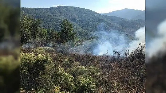 Anız yakan 80 yaşındaki şahsa para cezası uygulandı