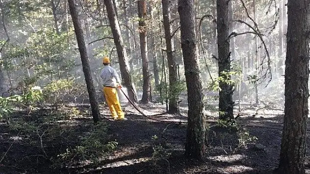 Daday'daki orman yangını büyümeden söndürüldü