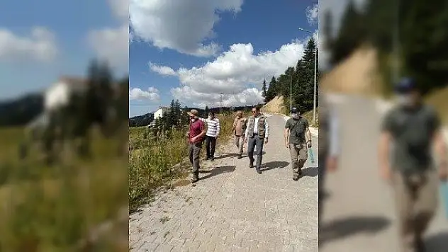 Ilgaz Dağı Milli Parkı içinde kamp alanları belirleniyor