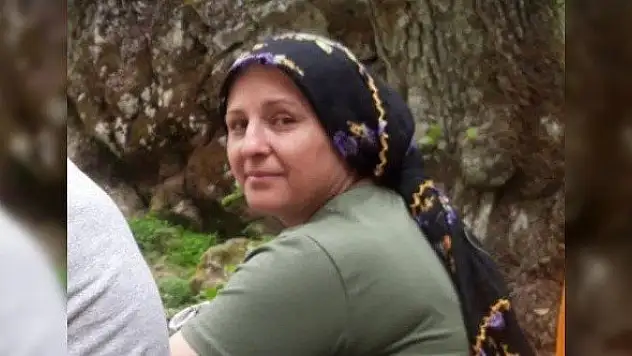 2 çocuk annesi kadına otomobil çarptı, hayatını kaybetti