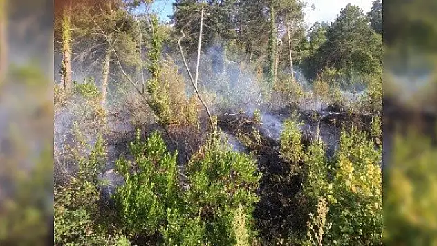 Bozkurt'ta çıkan yangın büyümeden söndürüldü