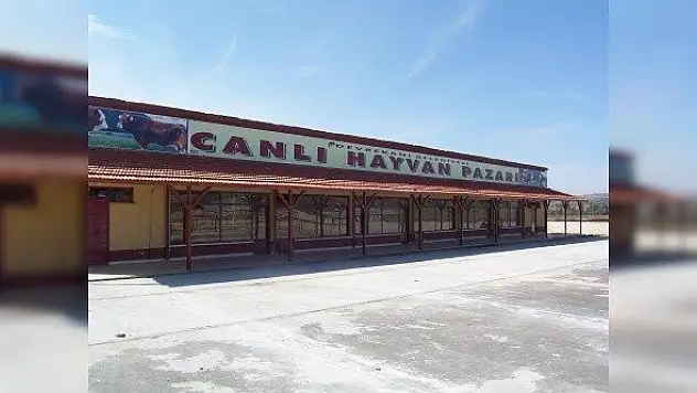 Devrekani'de hayvan pazarı 2 hafta kapatıldı