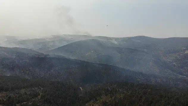 Taşköprü'deki orman yangınını söndürme çalışmaları sürüyor