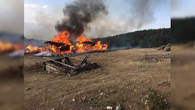 Tosya'da çıkan yangında 6 yayla evi küle döndü