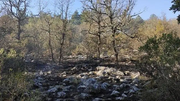 Araç'taki orman yangınında soğutma çalışmaları tamamlandı