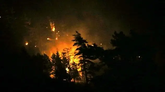 Çatayzeytin'de orman yangını