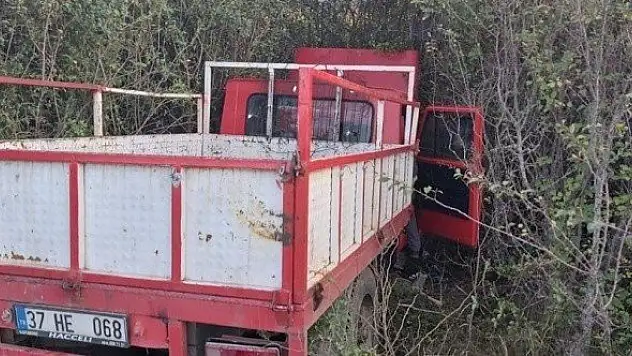 Yoldan çıkan kamyon ağaçlık alana girdi: 2 yaralı