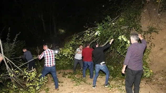 İnebolu'daki orman yangını kontrol altına alındı