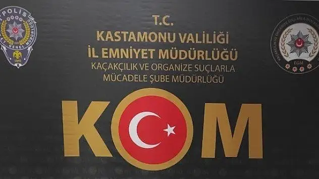 Kastamonu'da silah kaçakçılarına operasyon: 2 kişi tutuklandı