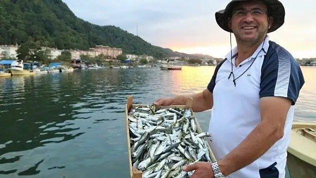 Kastamonulu balıkçılar palamutun bolluğundan memnun