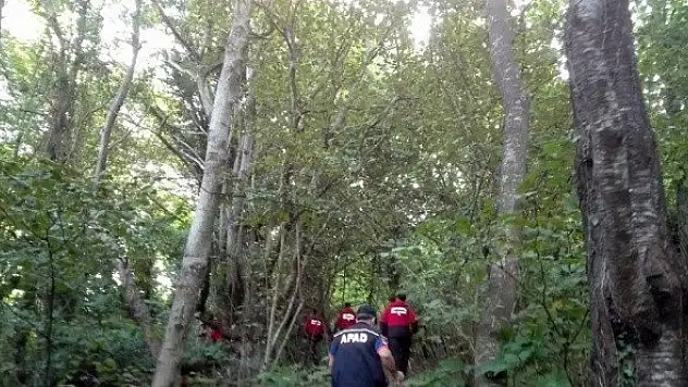 Kestane toplamak için evden ayrılan yaşlı kadından haber alınamıyor