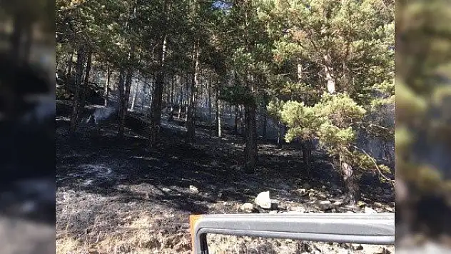 Tosya'da çıkan örtü yangını söndürüldü